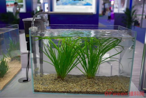 來(lái)高交會(huì),見證環(huán)保科技新力量