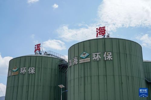 有機(jī)廢物變環(huán)保產(chǎn)品 保護(hù)洱海有妙招