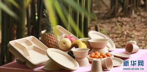 七十二變，竹產業拔節向上——環?？萍假x能傳統產業煥新